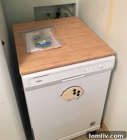 Dishwasher connected to an unconventional plumbing setup, possibly shared with laundry drainage, raising safety concerns