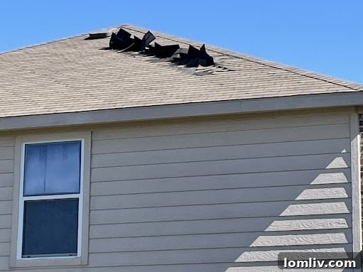 Thanksgiving Dinner Park Cities - Severe Wind Damage to a Property