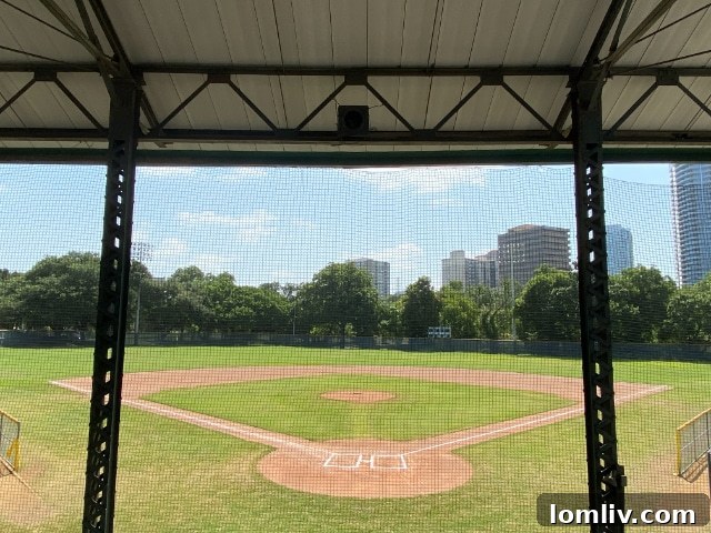 The green outfield of Reverchon Ballpark, ready for play