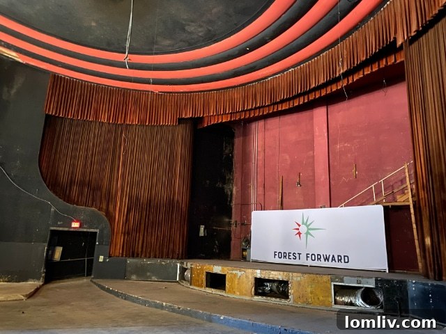 Ornate ceiling cutouts within the Forest Theater auditorium