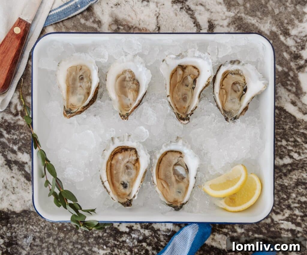 Island Creek Oysters Bay State Sampler: Island Creeks, Duxbury Row 34s, Wellfleets