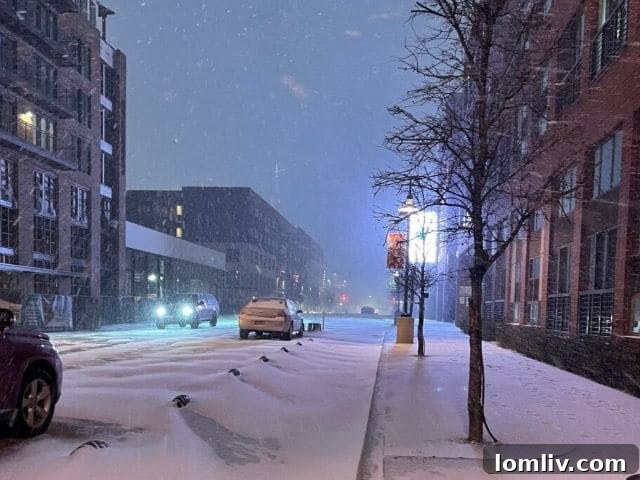 Valentine's Day 2021 Warmth: Cake and Comfort During Winter Storm