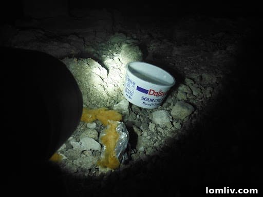 Unusual Finds in Crawl Spaces: From Strange Objects to Hidden Dangers