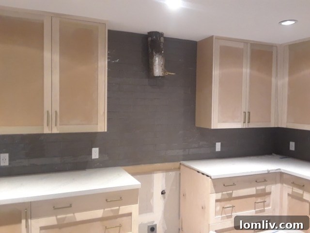 In-Progress-Kitchen-3