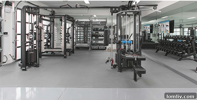 Luxurious garage converted into a fully equipped home gym in Scottsdale