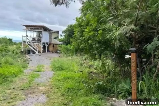 Dream Homes: California vs. Hawaii - A Personal Real Estate Journey