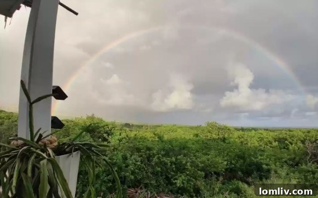 Hawaii Natural Beauty: A Rainbow Bonus
