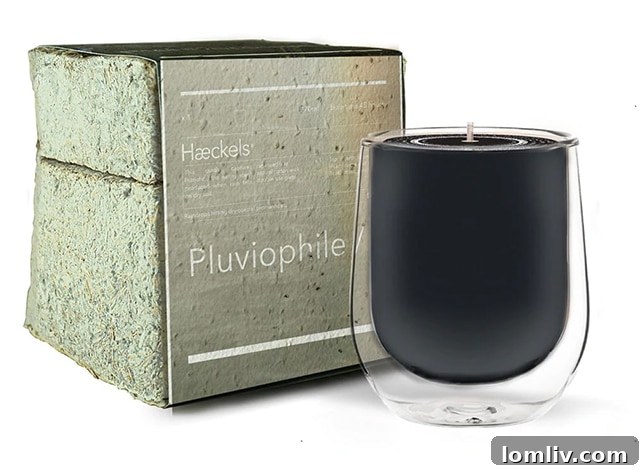 Raindrop Refresh: Elevating Your Home with Spring Style 11 Haeckels Pluviophile Rain Candle, capturing the scent of petrichor with notes of earth, ozone, salt, moss, and concrete.
