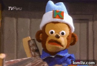 A final humorous image of a monkey, reinforcing the quirky theme of the house
