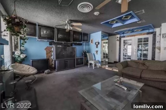 Another View of the Chaotic Living Area with Stained Carpet