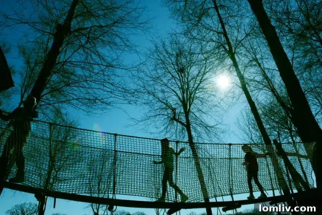 Kids playing on the ropes course at Long Cove's Treehouse Adventure Park