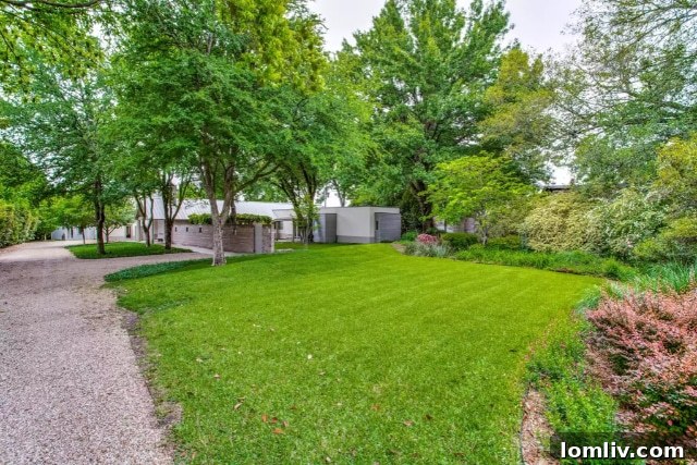 Lush grounds with a variety of vegetation, including fig trees and a Japanese Maple tree, at 4303 Middleton Road