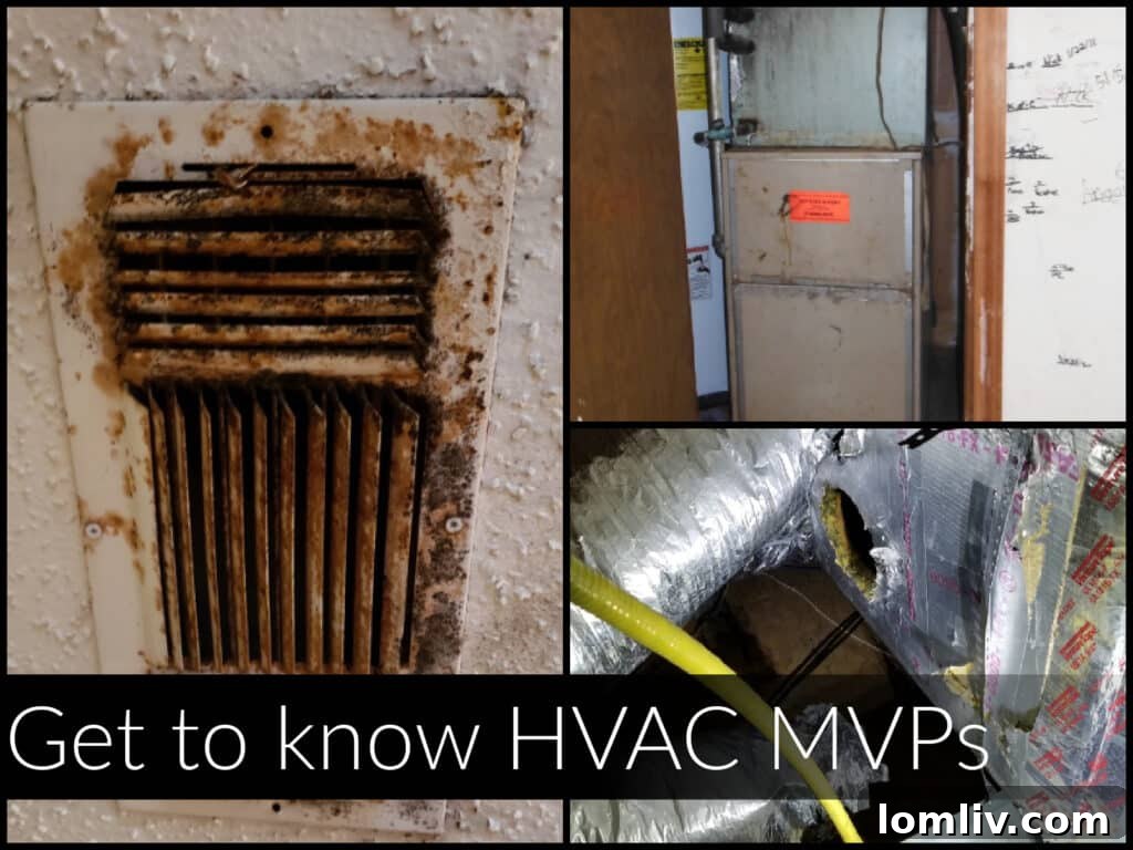 HVAC System Maintenance and Safety Tips