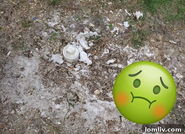 Home Inspection Disasters: When Logic Left the Building 2 toilet-paper-overflow