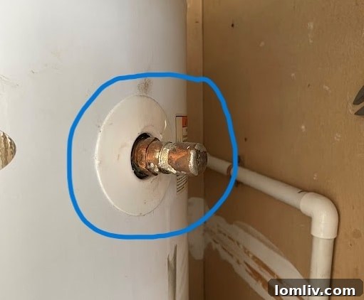 Home Inspection Disasters: When Logic Left the Building 3 toilet-paper-overflow