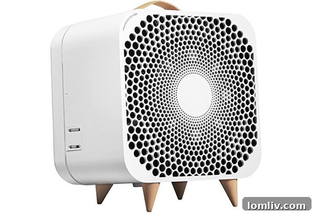 Blueair Air Purifier and Fan