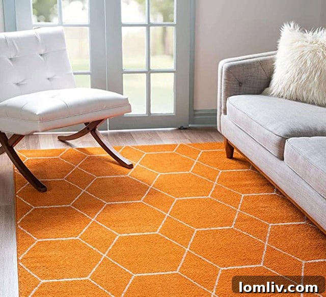 Moroccan Area Rug