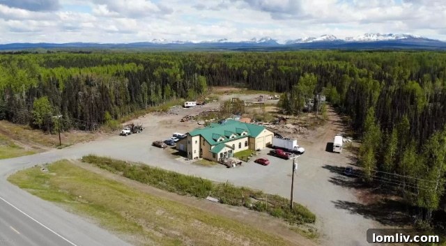Exterior view of the Talkeetna property with dense tree coverage, hinting at a hidden mountain view.