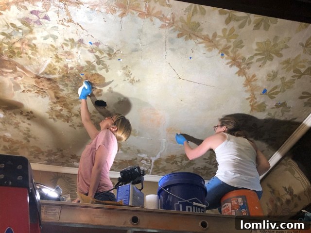 Amy Dobson and Laura Pate working on a ceiling mural at the Wilson House