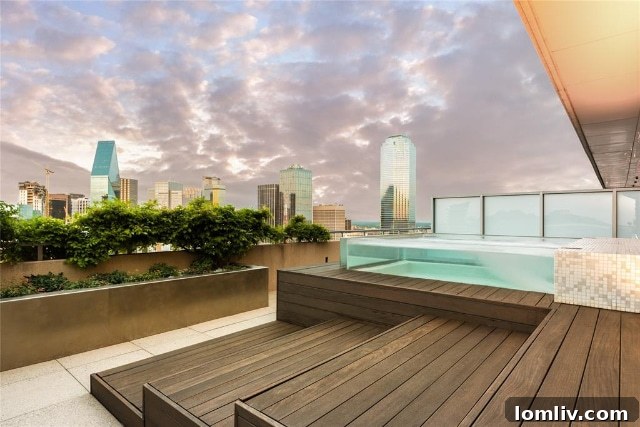 Sunset Views Dallas Penthouse
