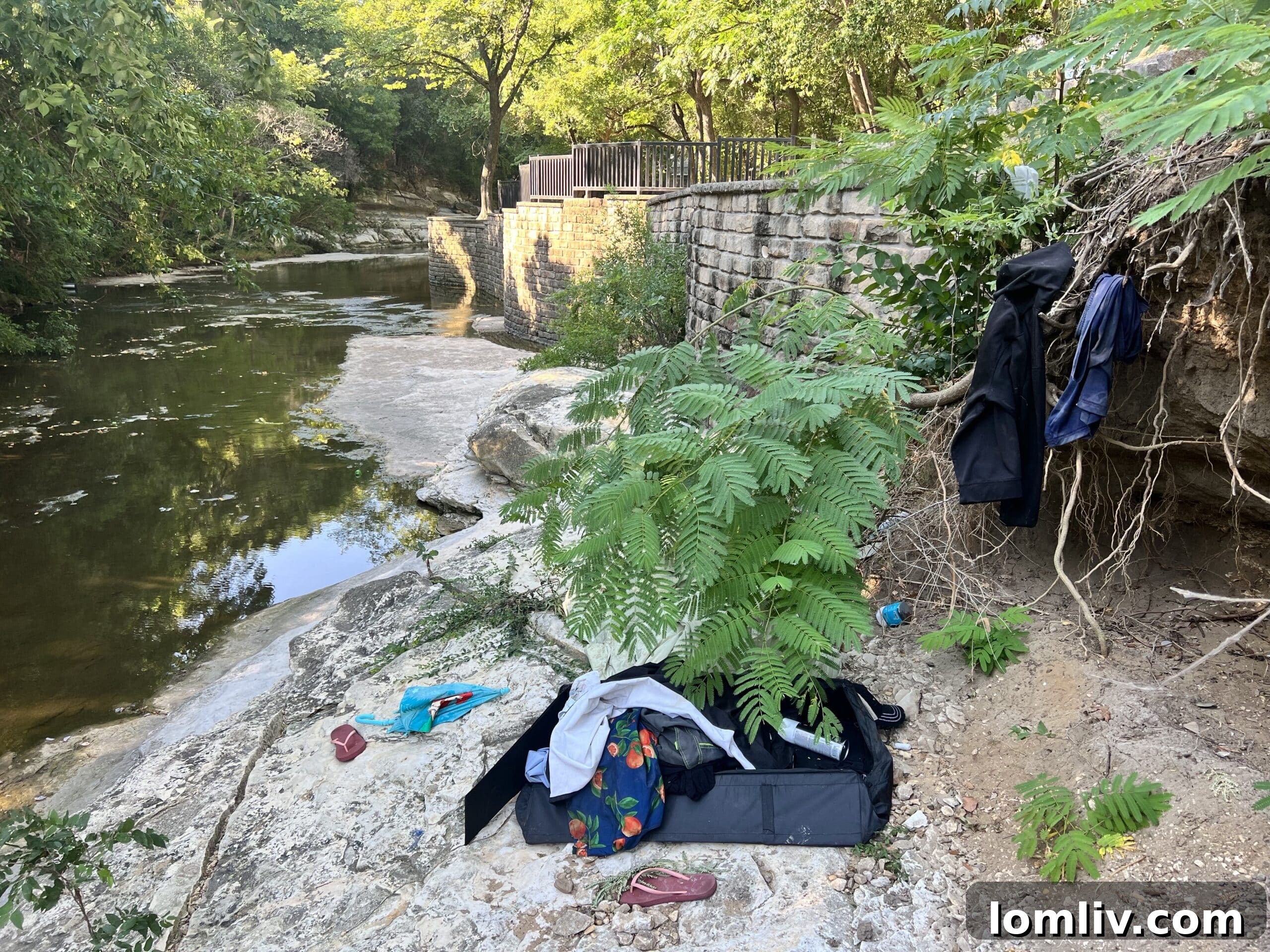 Turtle Creek Association Takes Charge of Dallas Front Yard Beauty 6 Turtle Creek before clean-up, showing accumulated debris.