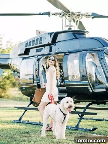 Helicopter landing pad on the estate, providing exclusive access and privacy for high-profile guests