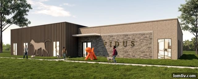 Grapevine & Garland: Paws-itively Luxurious Apartments for Your Canine Companion 5 Fidus Care Center Pet Services