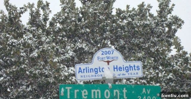 Arlington Heights in Fort Worth, a historic neighborhood known for its vibrant community and serene residential areas.