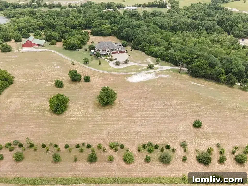 McKinney's Majestic Rural Estate Where Opulence Knows No Bounds 3 origin