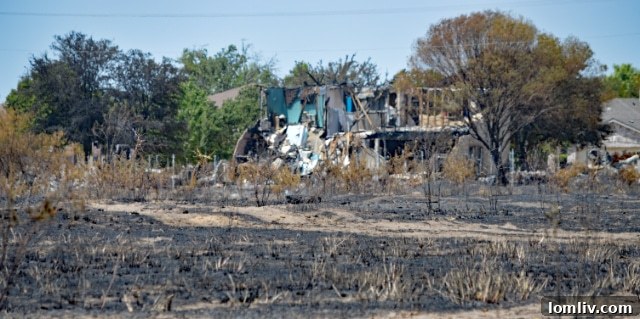 Texas Wildfire Devastation in Balch Springs