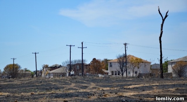 Texas firefighters battling a wildfire