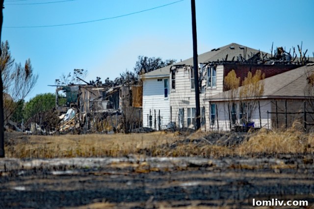 Community gathering after a wildfire