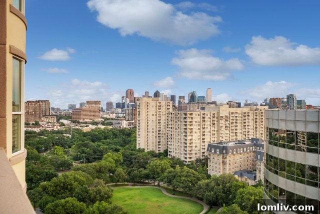 Fresh Perspectives on Dallas Luxury High Rise Real Estate 7 Modern kitchen design in a Dallas high-rise condominium