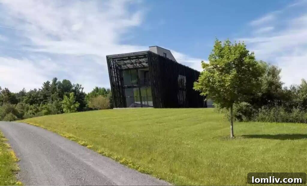 Vast green landscape surrounding a modern home, highlighting the potential for outdoor pet amenities.