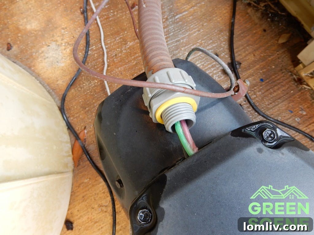 Exposed Pool Wiring Hazard