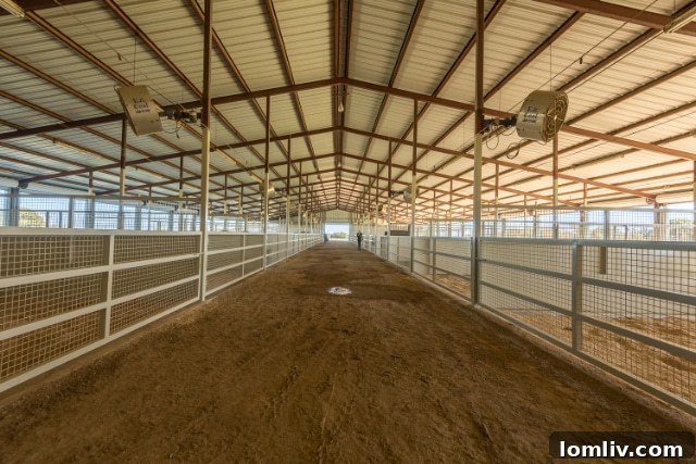 A wide shot capturing the scale and beauty of the ranch's natural landscape.