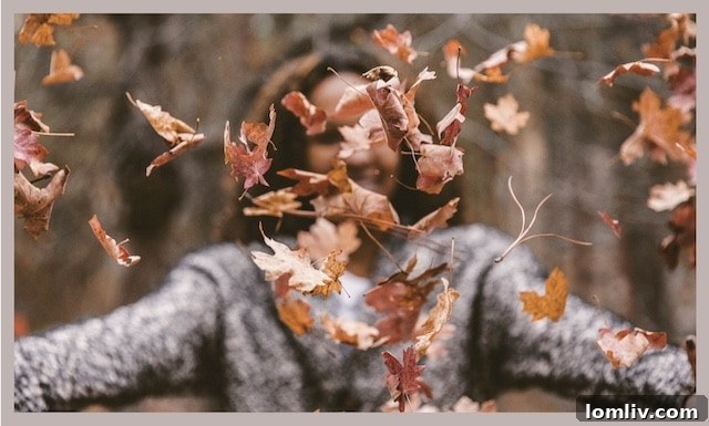 Autumn housing market with falling leaves and a cozy home, symbolizing stress-free fall home buying
