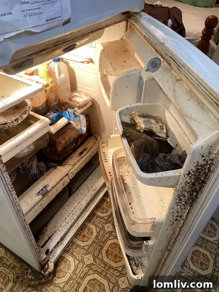 Extremely unsanitary refrigerator interior filled with excessive bacterial growth and expired, unrecognizable food items.