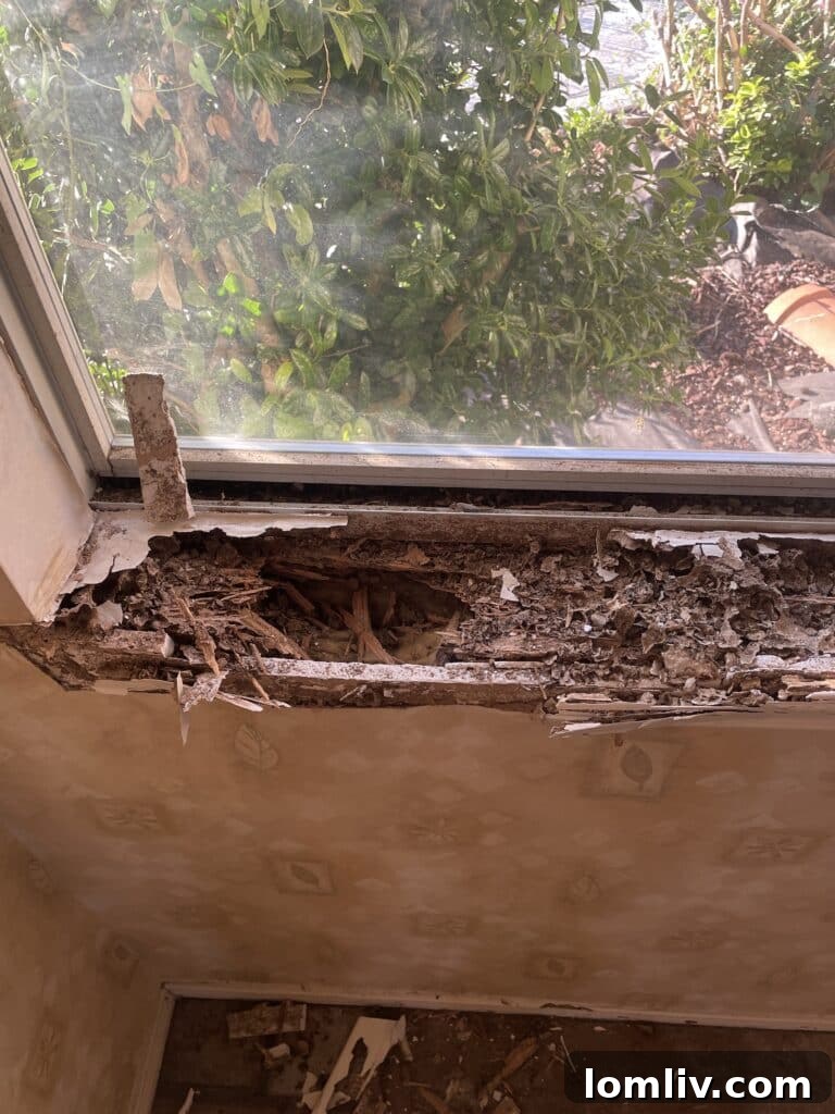 Severe wood damage caused by termites or other wood-destroying insects, exposing tunnels and structural compromise.