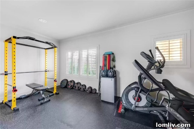 Dedicated Home Gym with Equipment