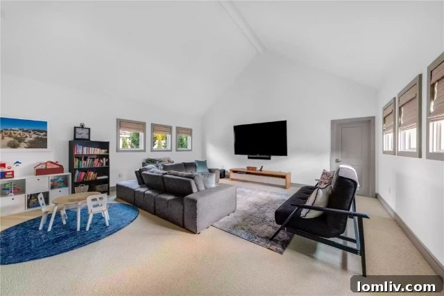 Media Room with Ample Storage
