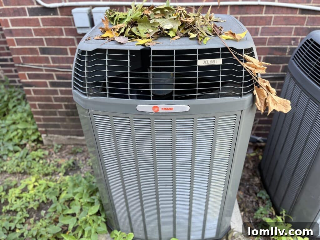 Autumn leaves on the ground, signaling the fall season and time for home maintenance