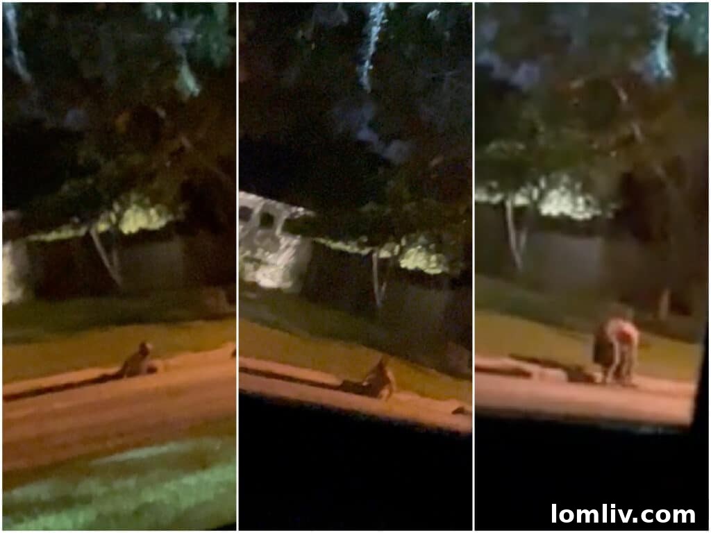 Homeless man exiting a storm drain in North Dallas