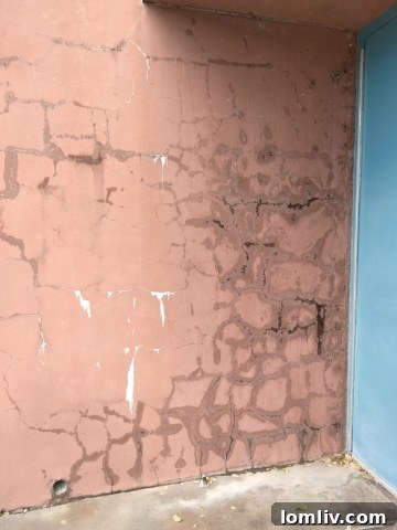 Fair Park Wall Cracking