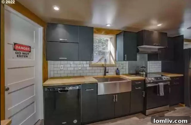 Modern kitchen with stainless steel appliances in the dinosaur-themed house