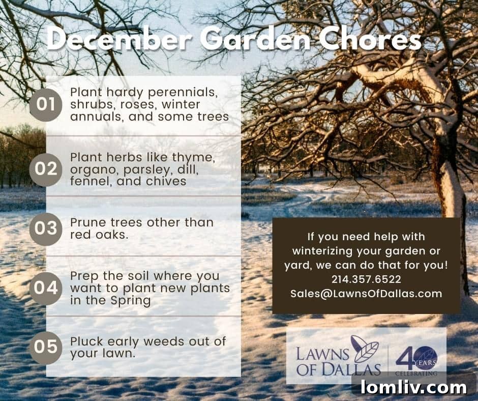 Early winter garden with lush green plants, ready for frost protection.