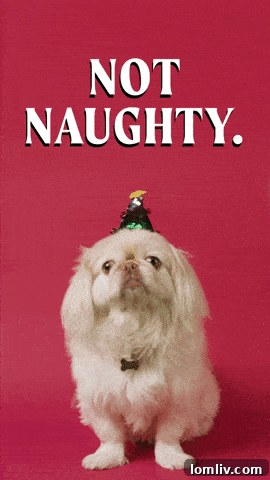 Mrs. Claus: The True Mastermind