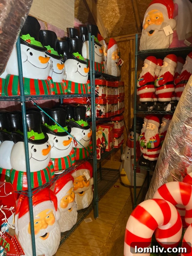 A section of the yard richly adorned with numerous lights and an abundance of Santa figures, creating a vibrant scene.