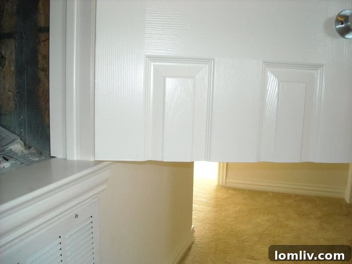 Construction Horrors: They Did What? 2 cut-door