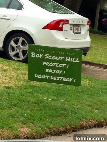 Boy-Scout-Hill